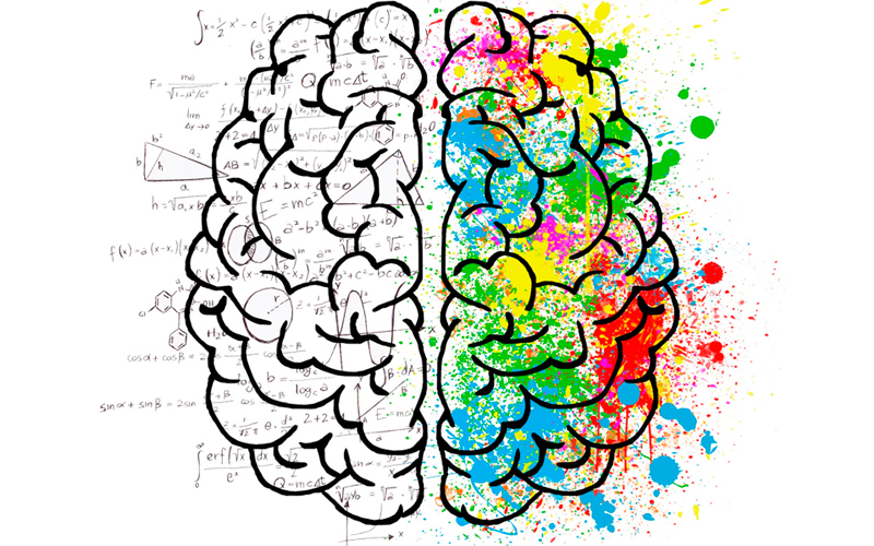 Generalidades de Neurona