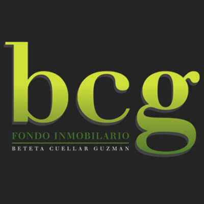 Imagen Fondo BCG