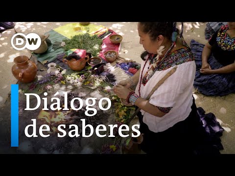 El poder de la agricultura orgánica