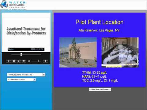 Localized Treatment for Disinfection By-Products