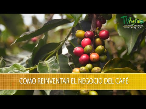 Como Reiventar el Negocio del Cafe - TvAgro por Juan Gonzalo Angel Restrepo