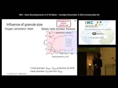 Modelling and control of granular sludge reactors for autotrophic nitrogen removal