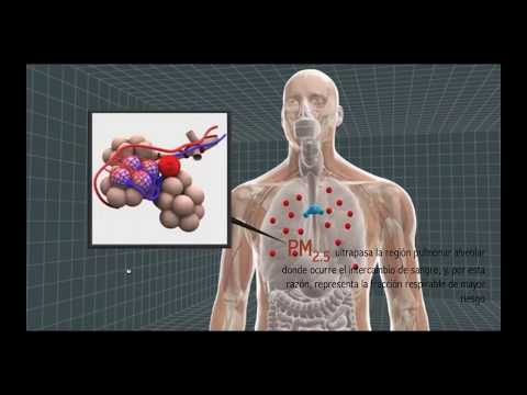 Seminario virtual. Impactos en la salud de la minería de carbón a cielo abierto