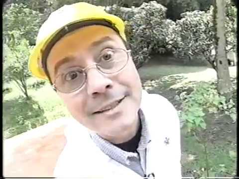 Salud y trabajo - Factores, riesgos.