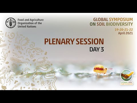 Sesión Plenaria - Día 3 - Simposio Global sobre Biodiversidad del Suelo 2021