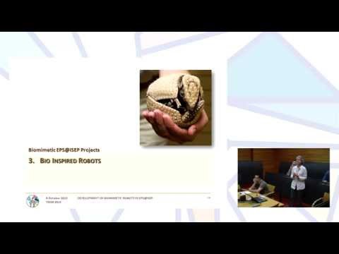 Desarrollo de robots biomiméticos en el proyecto Capstone EPS Engineering Programme