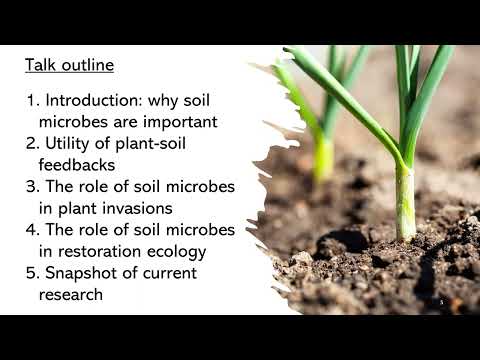 Comprensión de las interacciones planta-microbio-suelo para mejorar los resultados de conservación y restauración de plantas
