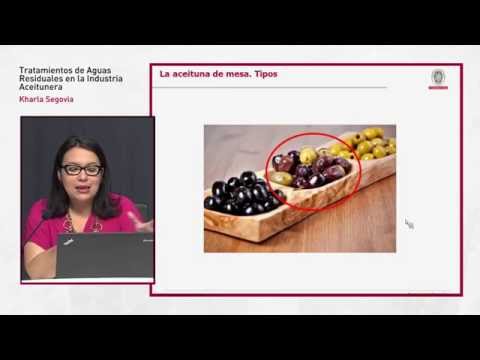 Tratamientos de aguas residuales en la industria aceitunera