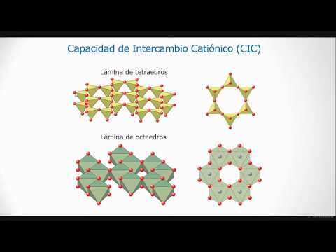 Webinar | Conceptos básicos de fertilización en caña de azúcar