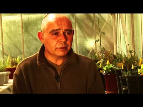 El suelo en la Agricultura Ecológica - 2009