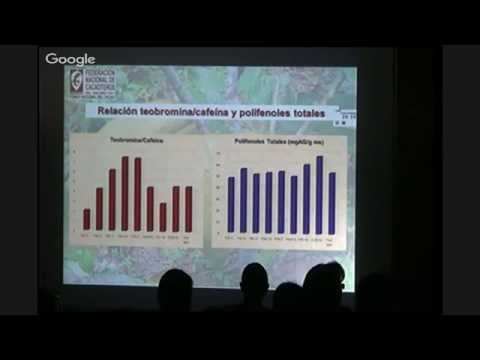 Lanzamiento de los clones regionales producto de la investigación de Fedecacao