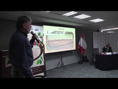 El beneficio post cosecha de cacao fino de aroma. [Parte 3]