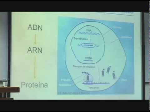 Paul Laissue - De la genética clásica a la genómica funcional del siglo XXI - Parte 2/3