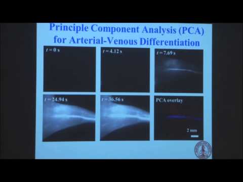 Professor Hongjie Dai - WIN Distinguished Lecture Series