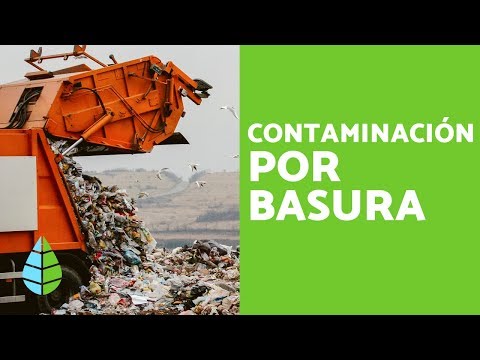 Basura y Residuos - Contaminación por Basura: Causas y Consecuencias