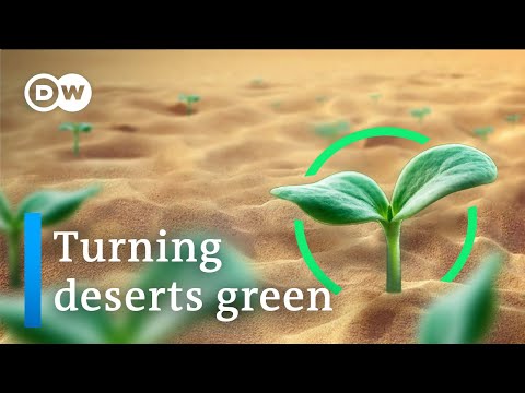 ¿Podemos evitar que los desiertos se extiendan?