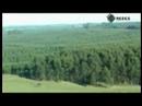Impacto de la forestación en Uruguay. Parte 1