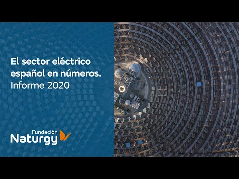 Informe 2020. El sector eléctrico español en números