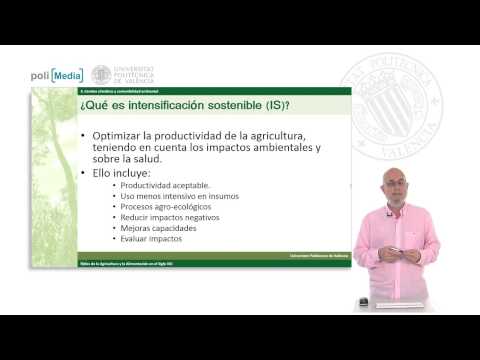 Intensificación sostenible 