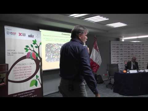 El beneficio post cosecha de cacao fino de aroma. [Parte 1]