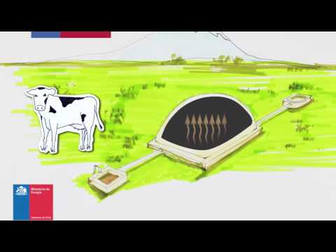 Biogás: la energía de los desechos