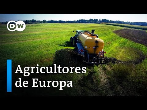 Agricultores: ¿Puede hacerse crecer el dinero? | DW Documental