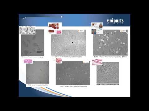 Webinar Cultivo Celular 3D