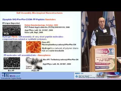 Nanoestructuras bioinspiradas: tecnología de deposición, física y aplicaciones