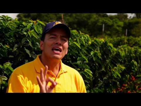 Agua virtual y huella hídrica