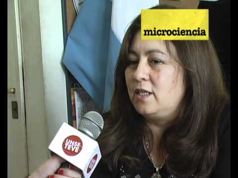 Proyecto : Tecnologías de secado de alimentos