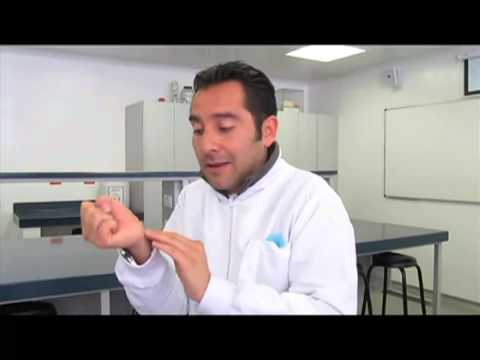 Polihidroxialcanoatos