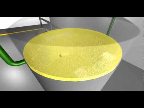 [Recorrido virtual : sedimentación]