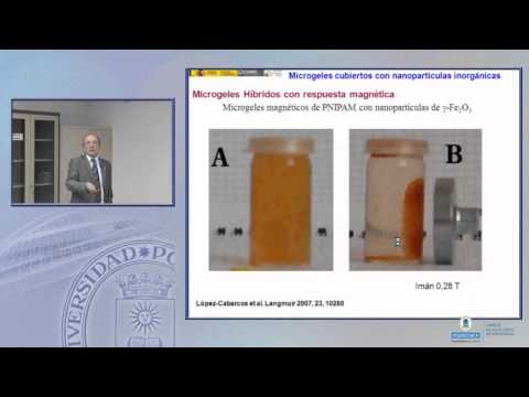 SFCM 12/13. Aplicaciones tecnológicas de microgeles y nanogeles