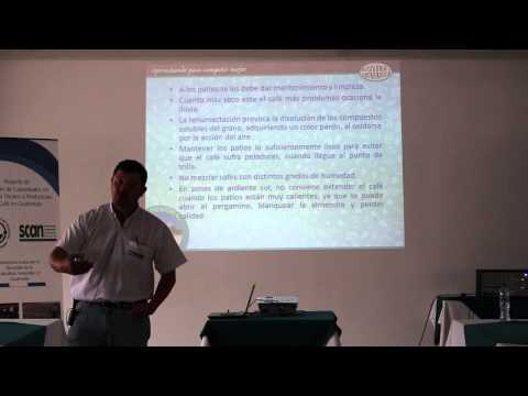 D01M03 - 036 - Secado y almacenamiento