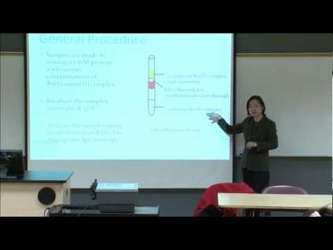 Conferencista distinguido de facultad - Lihua Wang