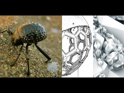Biomímesis y biodiversidad