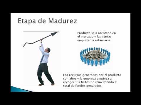 Ciclo de vida del producto