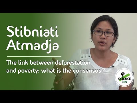 El vínculo entre la forestación y la pobreza: ¿Cuál es el consenso?