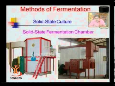 Microbiología: Ácido Cítrico Fermentación