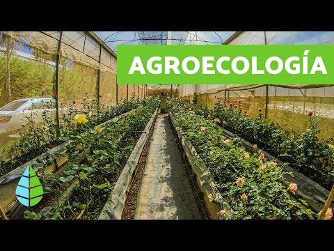 Qué es la Agroecología - Agroecología características