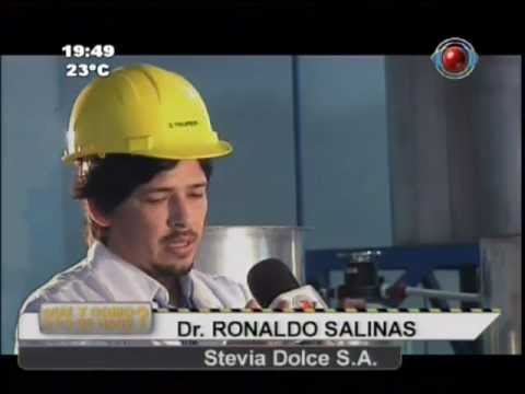 ¿Qué y cómo se hace?