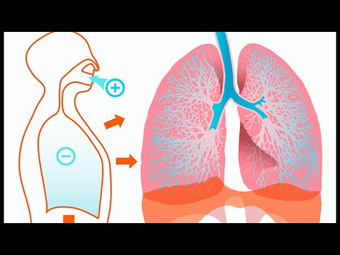 Enfermedades pulmonares profesionales