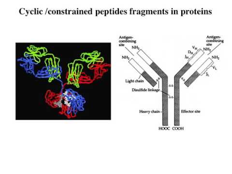 Semana 6 - Ingeniería de proteínas, lección 6: síntesis de péptidos en fase sólida