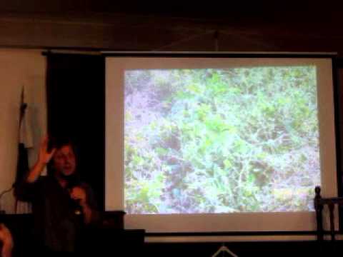 ¿Es posible la agroecología extensiva?. [Parte 2]