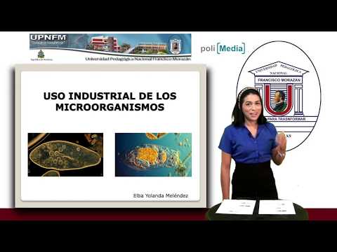 Uso industrial de los microorganismos