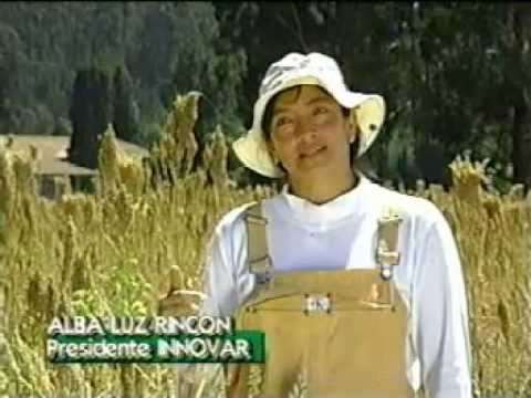 Mil-agros. La quinua de Boyacá