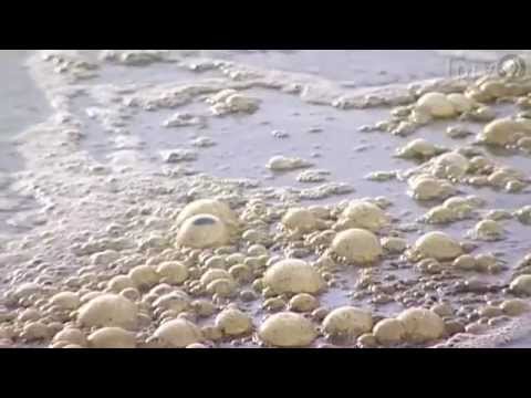 Explore More: water quality