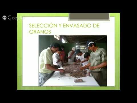 Teleconferencia. Pasos para comercializar y exportar cacao de calidad - Parte 1 de 2