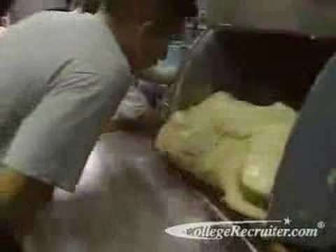 Panaderos en la manufactura
