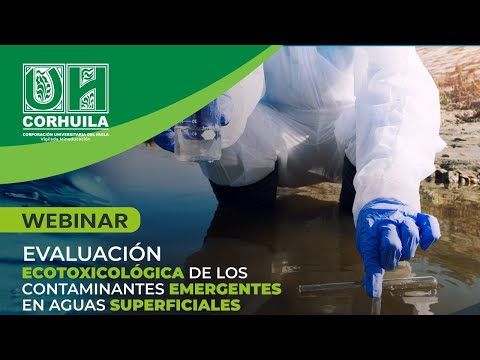 Webinar Ingeniería Ambiental